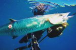 KZN dive report
