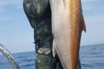 Spearo Report KZN South Africa