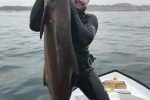Spearo Report KZN South Africa
