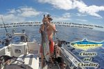 Captain Gallop and the Wahoo