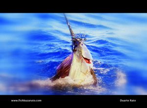 Bazaruto Sailfish by Captain Duarte Rato