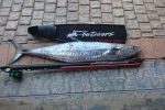 King mackeral