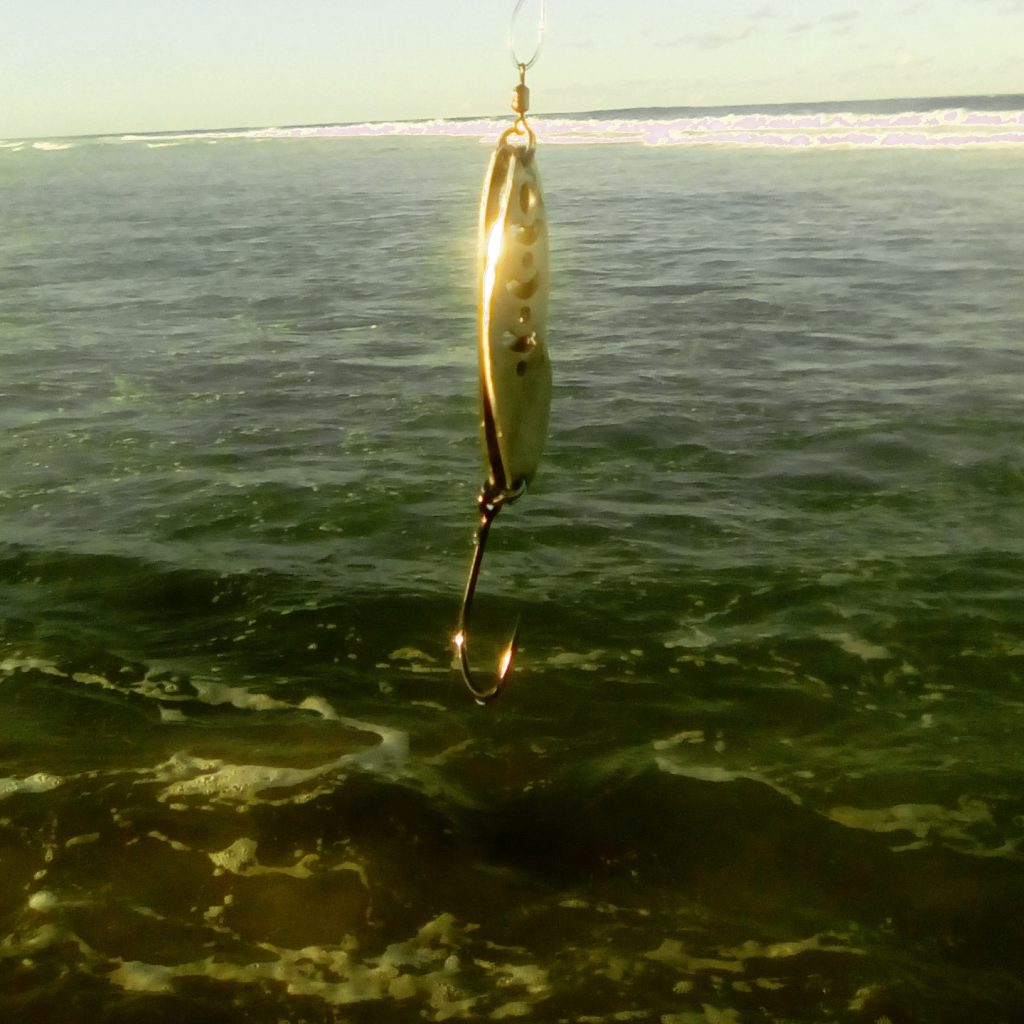 The fishing along Tofinho's rocky ledges is great fun. Kingfish and Garfish mainly. But you can reach a queen mackerel or a couta with the right cast!