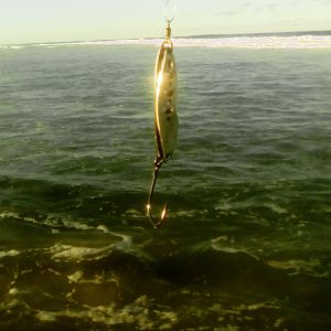 The shore fishing along Tofinho's rocky ledges is great fun. Kingfish and Garfish mainly. But you can reach a queen mackerel or a couta with the right cast!