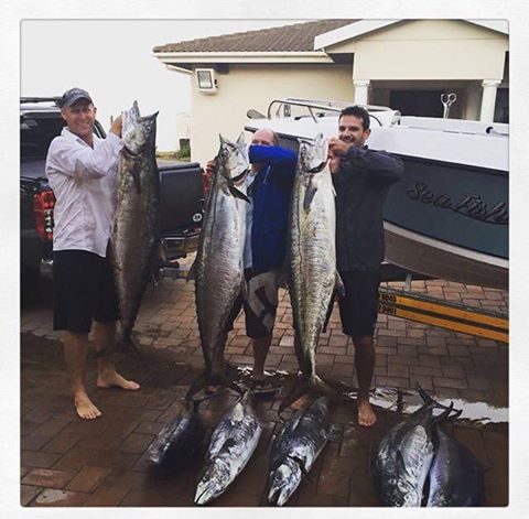 Another huge couta catch down on the KZN South Coast