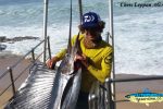 Chris Leppan does it again with this lovely sailfish