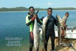 Inhaca Island on a Shoestring
