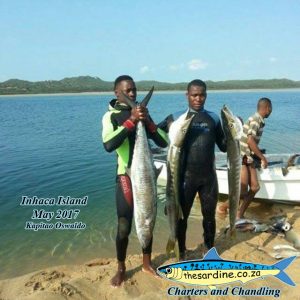 Inhaca Island on a Shoestring