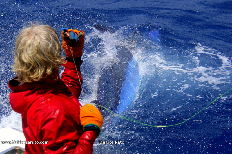 Catching blue marlin on pitch bait with Duarte in Cape Verde