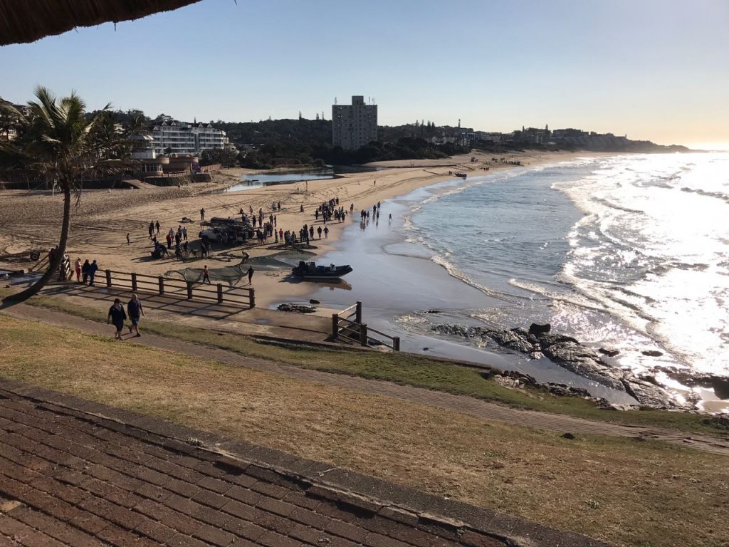 Margate Beach experienced some sardine action this very morning