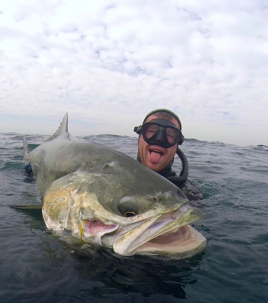 Spearfishing Archives - The Sardine News