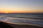 Possible final sardine report for 2017