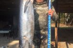 Wahoo love the clear and warm water of winter on the KZN South Coast
