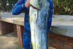 Shooting fish on the KZN north coast at this time of year puts you in the game for all sorts of surprises