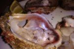 Gulp down an oyster or two at ZanziBeach on the beach of Tofo