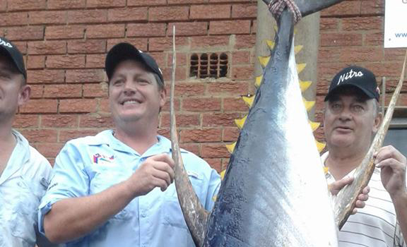 Mustbyt Charters of Shelley Beach hauled in the biggest yellowfin tuna ever seen in Natal today