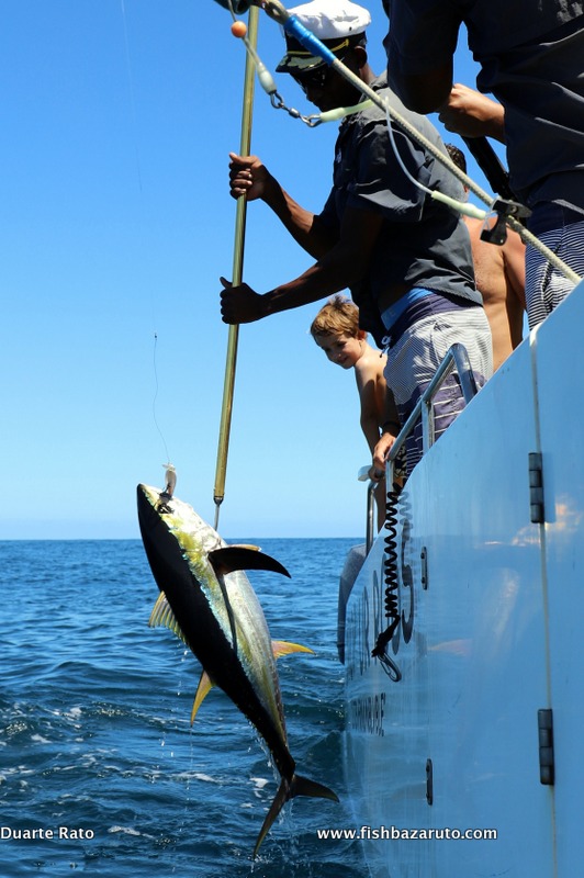 fishing for yellowfin tuna fish catching skills handline fishing video  amazing fishing 