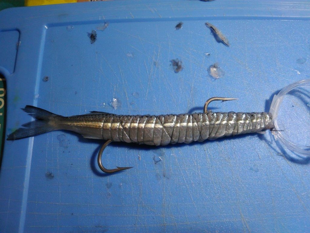HIGH SPEED WAHOO FISHING LURE 5-PK with Carry Case – Ballyhood Top Gun Saltwater  Fishing Lures