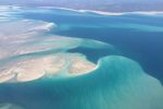 The Bazaruto Archipelago is where we can find many sharks to tag. On the outside however produces the best results. This is also the place where Calum plans to keep his underwater observatory operation project getting fresh materials