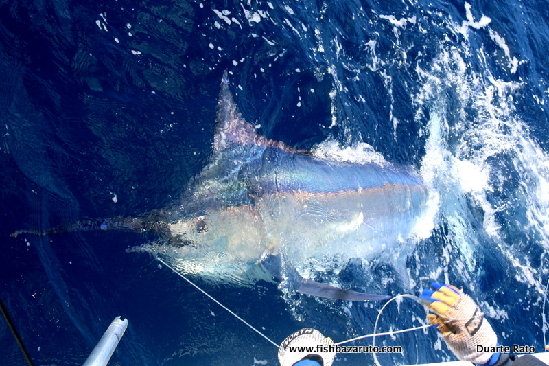 Big Fish: Bazaruto October Fishing Report by Captain Duarte Rato