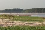 There are tarpon waters in Angola. Huge fish, 80kg class, frequent the shallows to hunt in this estuary.