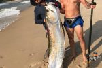 This Angolan Tarpon took many attempts by Marc Lange out on the edge off Angola