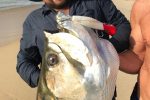 The Tarpon of Angola: Marc Lange at a secret spot nearish to Cabinda, in Angola.