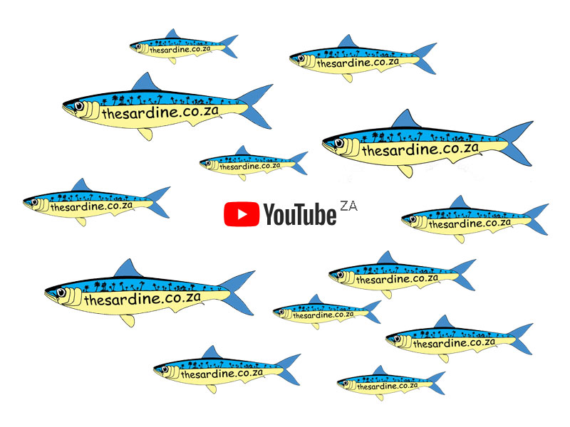 YouTube and The Sardine News