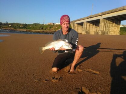 A fun little kobbie about to be released down on the Sandspit in Port Shepstone