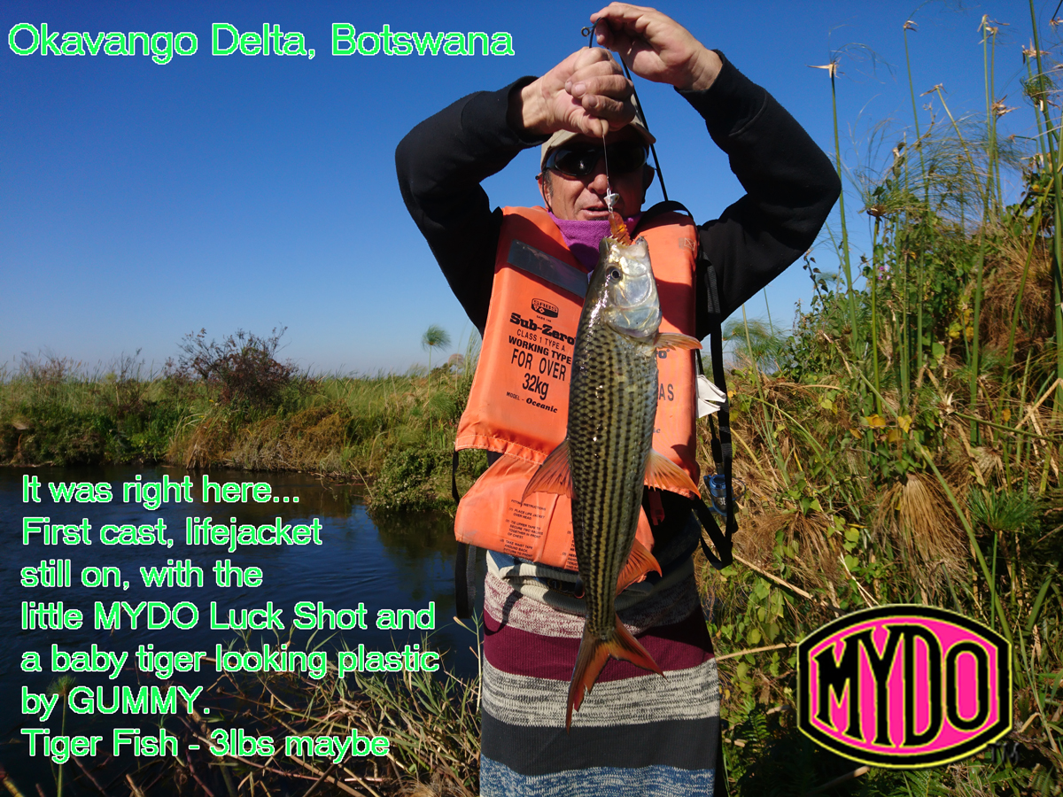 Tigerfish caught first cast Mydo Luck Shot #1 doing the good work