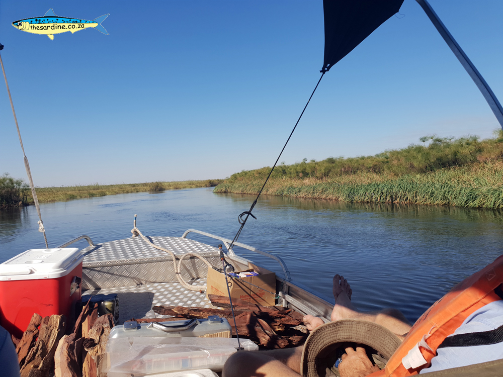 Cruising the Okavango Delta in Botswana