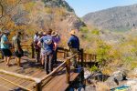 Our guests enjoy another African vista in northern Botswana