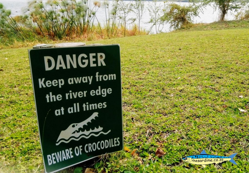 The Cubango River is full of mean nasty crocodiles, otherwise known as flat dogs