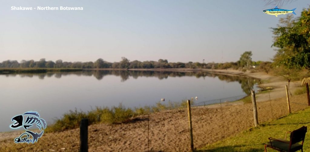 The Okavango Delta as it rolls down towards the south and Maun