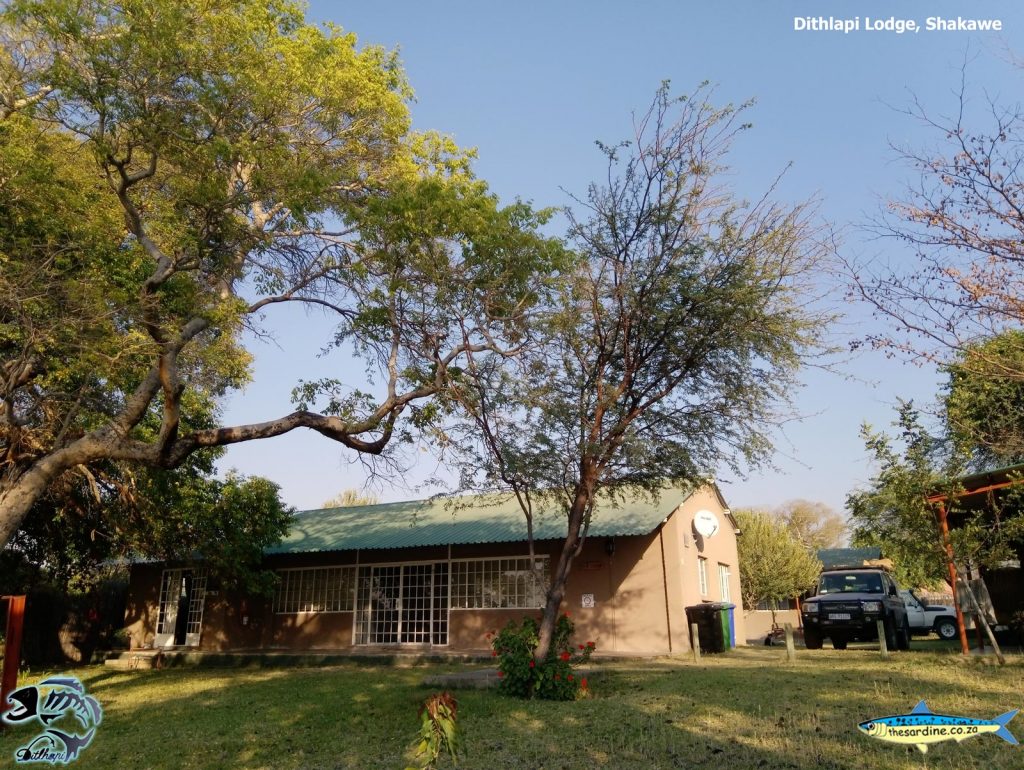 Dithlapi Lodge is in Shakawe, right at the top of the panhandle