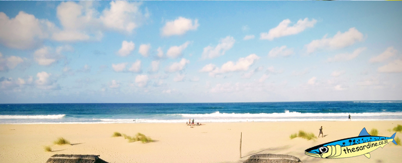 Praia do Tofo. Incidentally, there have been heaps of whale shark sightings and encounters by lucky tourists this past few weeks here.