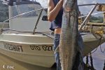 Sharene Berry again. She ties her own haywire traces btw! And fishes on the Niteshift regularly.