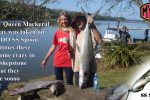 MYDO Queen Mackerel