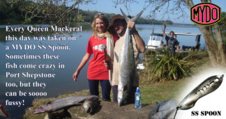 MYDO Queen Mackerel