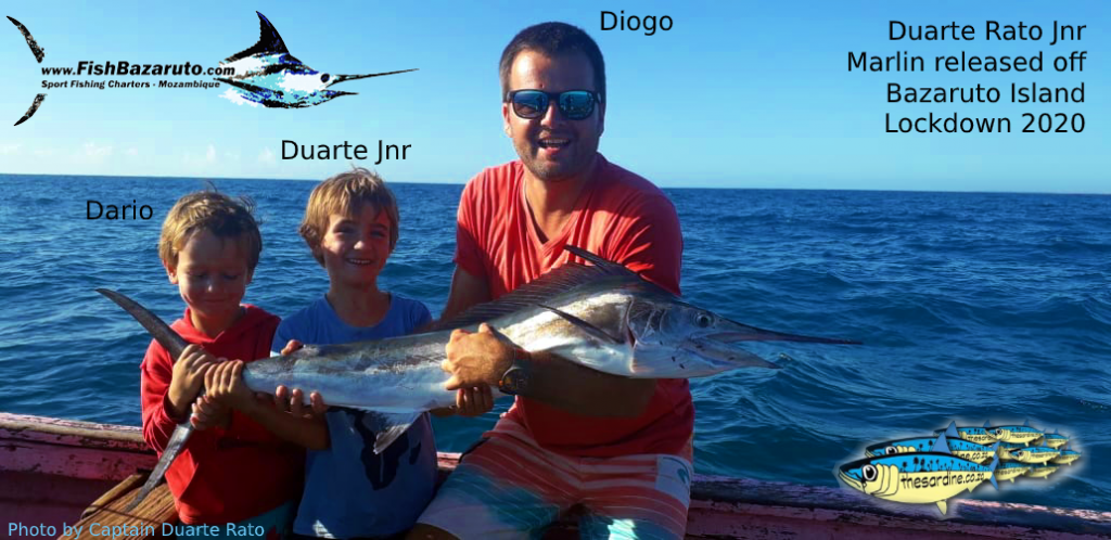 Mozambique Marlin by-7-year-old-Duarte-Rato-Jnr