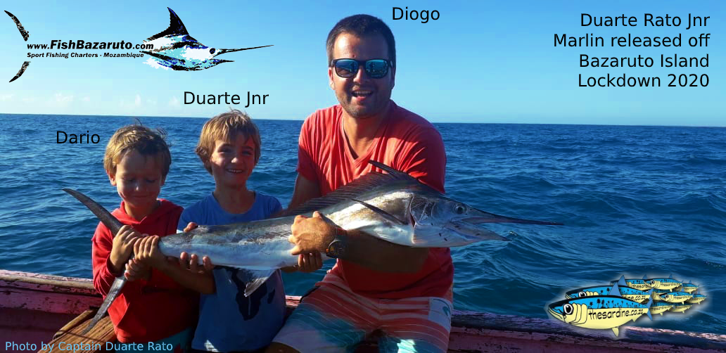Mozambique Marlin by-7-year-old-Duarte-Rato-Jnr