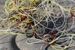 The illegal jigging in Port St. Johns continues unabated