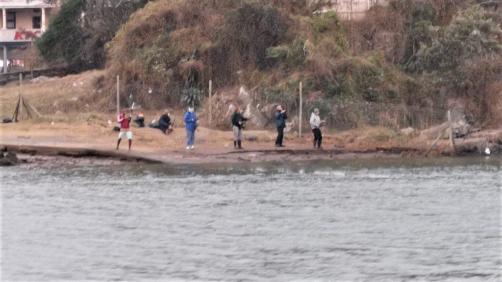 Port St Johns Garrick slaughter: Slipway illegal jiggers Port St Johns August 2020