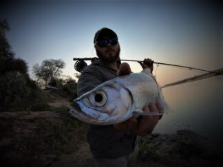 Justin Landrey Ox eye Tarpon caught and released in the Zinave National Park in Mozambique