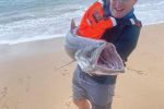 Justin-Campbell-used-a-MYDO-Stripbaitswimmer-to-catch-this-25kg-king-mackerel
