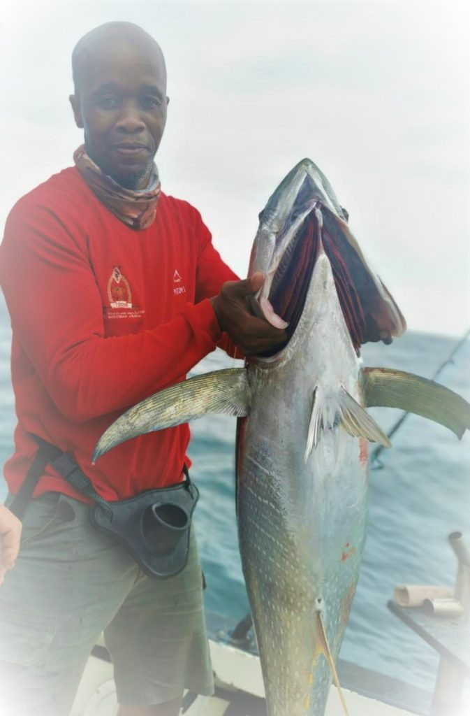 Yellowfin Tuna patrol the brown water line along with many other serious gamefish and billfish. YFT 35kgs about by Bongani Pitoyi on the Niteshift out off Port Shepstone