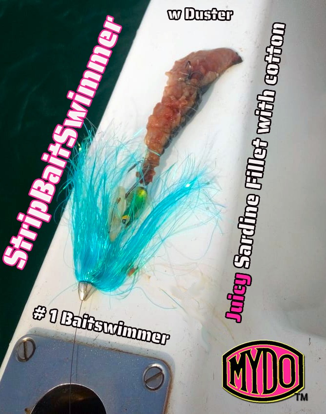 MYDO StripBaitSwimmer dressed with sardine fillet and light blue mini skirt