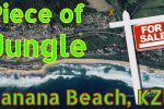 Banana Beach jungle for sale