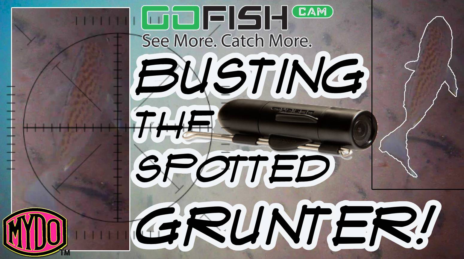 Busting the Spotted Grunter