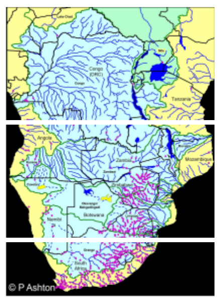 Ashton Rivers Dammed in Africa. The uMzimkhulu – The Last Significant Free-flowing River in South Africa